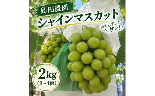 島田農園　シャインマスカット約2kg（3～4房入り）【令和9年8月下旬頃発送！予約受付中】【B-78】