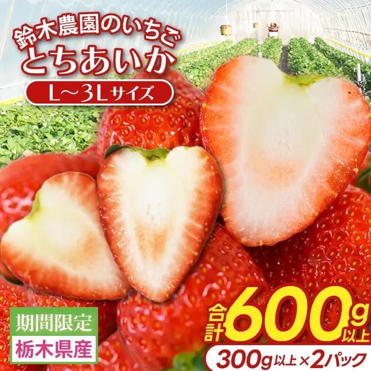 とちあいか いちご ★家庭用★ 600g 300g×2P DJ003