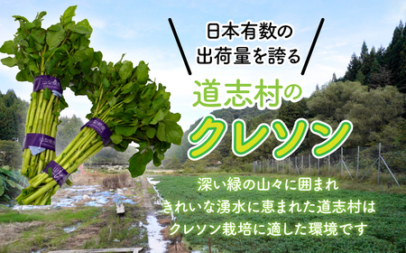 【産地直送】朝摘み新鮮!道志村産クレソン 20束(1400~600g) DSAA003 【期間限定】