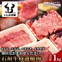 【ふるさと納税】高級 黒毛和牛 石垣牛 特選 焼肉 セット 部位 おまかせ 計1kg ｜ ふるさと納税 和牛 黒毛和牛 石垣牛 国産 牛肉 ブランド牛 焼き肉 冷凍 産地直送 沖縄県 石垣市 人気 送料無料 AB-17