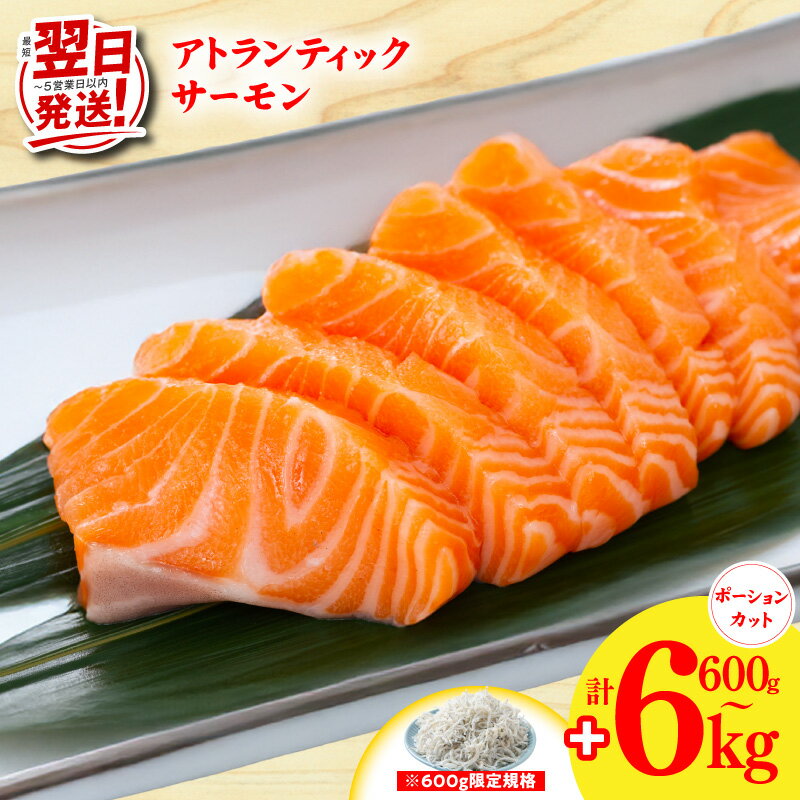【ふるさと納税】最短翌日発送 アトランティックサーモン 選べる 内容量 600g ～ 6kg しらす ちりめん山椒 小分け 柵切り 刺身 海鮮丼 カルパッチョ 鮭 ノルウェー サーモン 魚介 海鮮 魚 海産物 訳あり サイズ不揃い おかず お取り寄せ 5営業日 大阪府 泉佐野市 送料無料