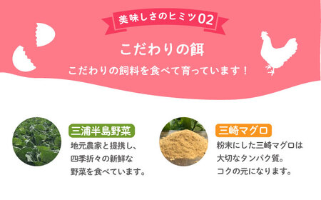 飼い方にこだわり餌にこだわった「姫様のたまご」 20個 たまご 姫様のたまご たまご たまご こだわりたまご たまご　[AKET007]