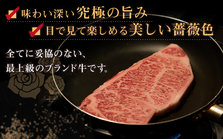 【全6回定期便】【日本一の和牛】長崎和牛 出島ばらいろ 特選霜降 サーロイン ステーキ たっぷり500g（250g×2枚） 【合同会社　肉のマルシン】[RCI012]
