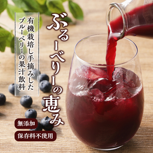 梅ジュース ブルーベリージュース 720ml×2本 無添加 自然栽培 八米梅園 国産 保存料不使用 梅果汁入り 濃厚 飲料 ドリンク 美味しい 瓶 夏ギフト 贈り物 お取り寄せ 山梨県産 上野原市 送