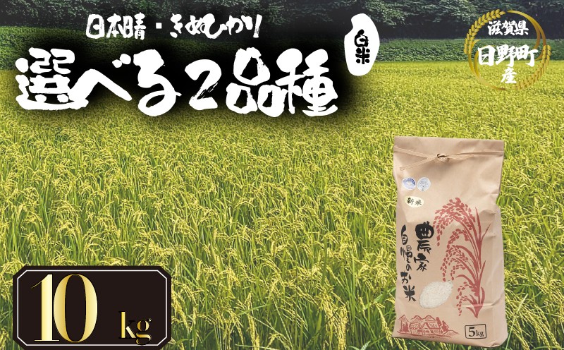 
                  【 令和7年産 米 10kg 】 選べる 品種 日本晴 きぬひかり 米 白米 2025年産 にほんばれ キヌヒカリ 国産 滋賀県 日野町 農家直送 お米 精米 おこめ こめ 米 ご飯 おにぎり お弁当 弁当 kome R7年 R7 7年産 ハクマイ しんまい おこめ こめ オコメ 30000円 以下 産地直送 日野町産米 産地直送 ふるさと納税
                