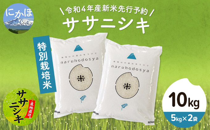 《令和4年産新米先行予約》特別栽培米　ササニシキ 白米 10kg（5kg×2袋）