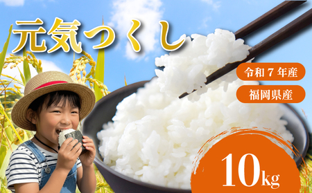 元気つくし 10kg 令和7年産 お米 米 こめ TJI