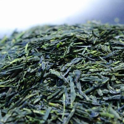 ふるさと納税 宇治市 2025年産　一番茶 宇治煎茶540g(90g×6袋) |  | 01