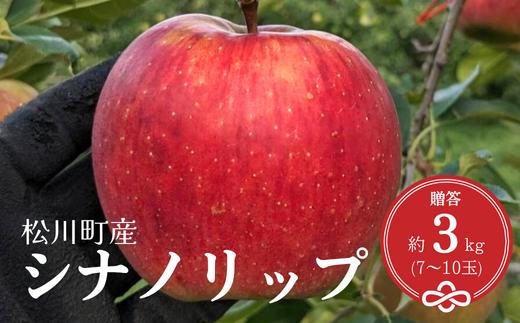 
                  KR26 りんご シナノリップ 贈答 約3kg（7～10玉）長野県松川町産／8月下旬頃～配送//長野県 南信州 松川町産 ギフト リンゴ 林檎 早生りんご 農家直送 農家支援 産地直送 珍しいりんご
                
