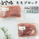 白金豚 モモブロック 500g×2（真空パック）煮豚・ハム用 冷凍 お肉 豚肉 プラチナポーク ブランド肉
