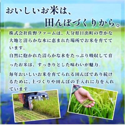 【令和8年産】ミルキープリンセス 5kg【1778364】