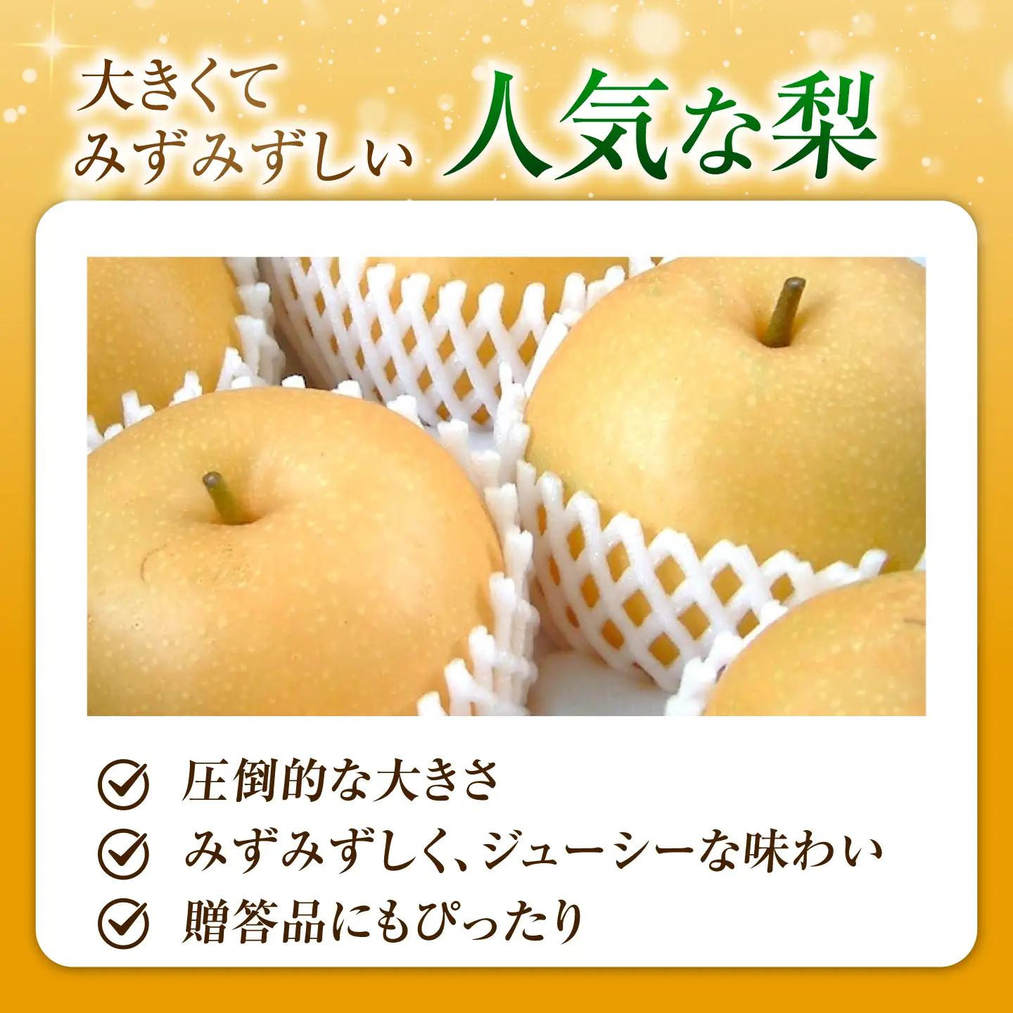 【先行予約】あきづき梨 6-9玉入 BKAD116 梨
