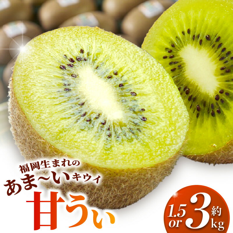 【ふるさと納税】【2026年10月以降お届け】 甘い キウイ 甘うぃ キウイフルーツ 選べる 内容量 約1.5kg 約3kg 国産 甘みの強い 果実 黄色味 福岡 オリジナル品種 濃厚 まろやか 高糖度 フルーツ 果物 ヨーグルト スムージー ジュース デザート 福岡県 久留米市 送料無料
