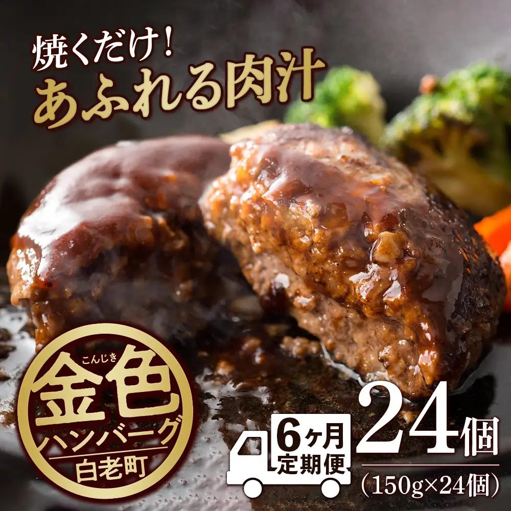【定期便6ヶ月】国産100％白老合挽ハンバーグ150g×24 BV029