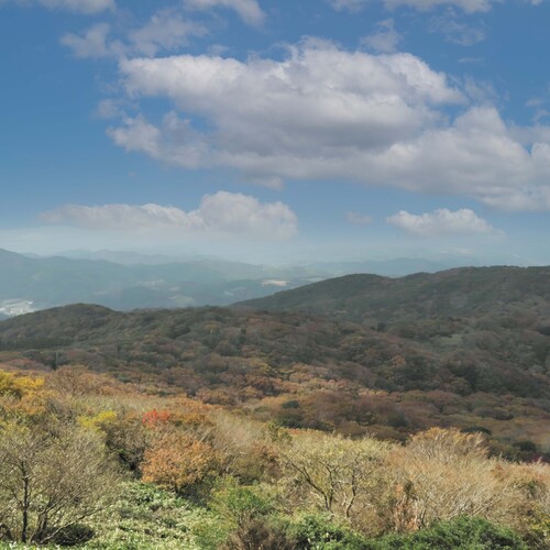 【定期便6回】脊振ジビエ イノシシ肉(ロース バラ)2品詰合せ800g 【佐賀 佐賀県産 猪 ロース バラ スライス 焼肉 しゃぶしゃぶ 鍋物】(H072126)