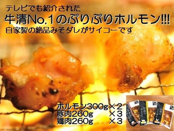 
【025-31】自家製 みそダレ Nセット 牛 ホルモン 300ｇ×2 豚肉 ×３ 鶏肉 ×３/ 黒毛和牛ホルモン 牛清 バーベキュー BBQ キャンプ 牛肉 ぶた肉 とり肉 特製 味噌漬 味付 伊勢志摩 三重 志摩 25000円 2万5千円 二万五千円　二万五千 25000
