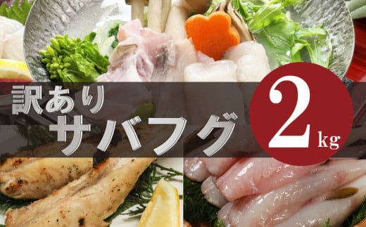 訳あり サバフグ 2kg 鍋 唐揚げ フグ 塩 焼き 小分け 魚 フグ 河豚 さかな フグ 魚介 海鮮 新鮮 さかな 海の幸 海産物 愛知県サバフグ フグ グリル ごはん 料理 おかず おつまみ 晩酌 愛知県南知多町サバフグ 塩焼き ふぐ冷凍 フグ 南知多町サバフグ 山庄水産株式会社 ふるさと納税サバフグ 愛知県 南知多町 人気 おすすめ 【離島不可】