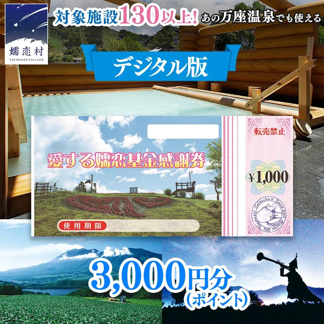 【デジタル感謝券】嬬恋村 で使える 感謝券 3,000円 分 電子クーポン [AO044tu]