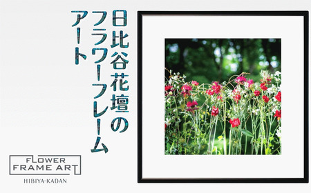 日比谷花壇のフラワーフレームアート Sunlit Bloom（陽光満開） ソフケン アルミフレーム 25x25cm アートポスター ポスターフレーム 花ポスター インテリア おしゃれ 花 植物 贈り物 プレゼント ギフト 軽量フレーム ボタニカルアート フラワーアート 癒しの空間
