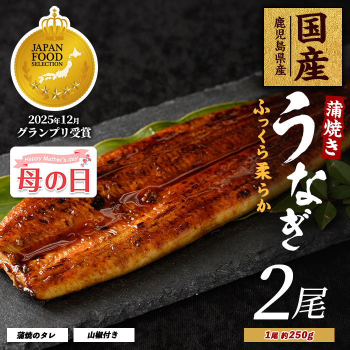 【母の日ギフト】【鹿児島県産】うなぎ蒲焼じっくり焼き約250g×2尾 木目化粧箱入り(大新/IB021-001m) 母の日 ギフト プレゼント 贈り物 鰻 蒲焼 国産 丑の日 うな重 無頭 ギフト ふっくら 小分け レンジ 簡単