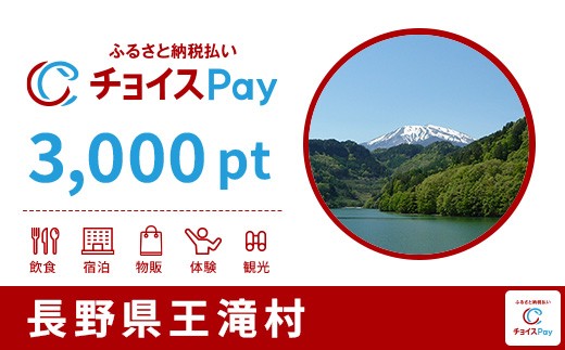 
                  王滝村チョイスPay 3,000pt【会員限定のお礼の品】
                