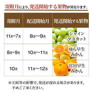 産地厳選三豊のフルーツ３回定期便　M_M64-0053