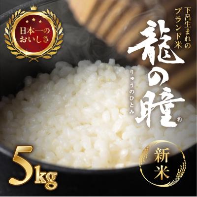 ふるさと納税 下呂市 新米先行受付【2025年産】5kg×1 飛騨産・龍の瞳(いのちの壱)【14-14【7】】