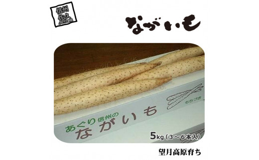 長野県産 ながいも 約5kg 〈2025年12月1日出荷開始～2025年12月25日出荷終了〉| 長芋 長いも 高原野菜 信州佐久 土作りからこだわり 作物本来の美味しさを目指して栽培 長野県 佐久市 旬彩