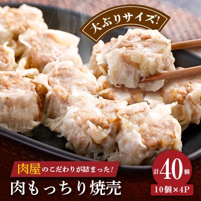 ふるさと納税 大野城市 肉屋の肉もっちり焼売 40g×40個(10個×4パック)