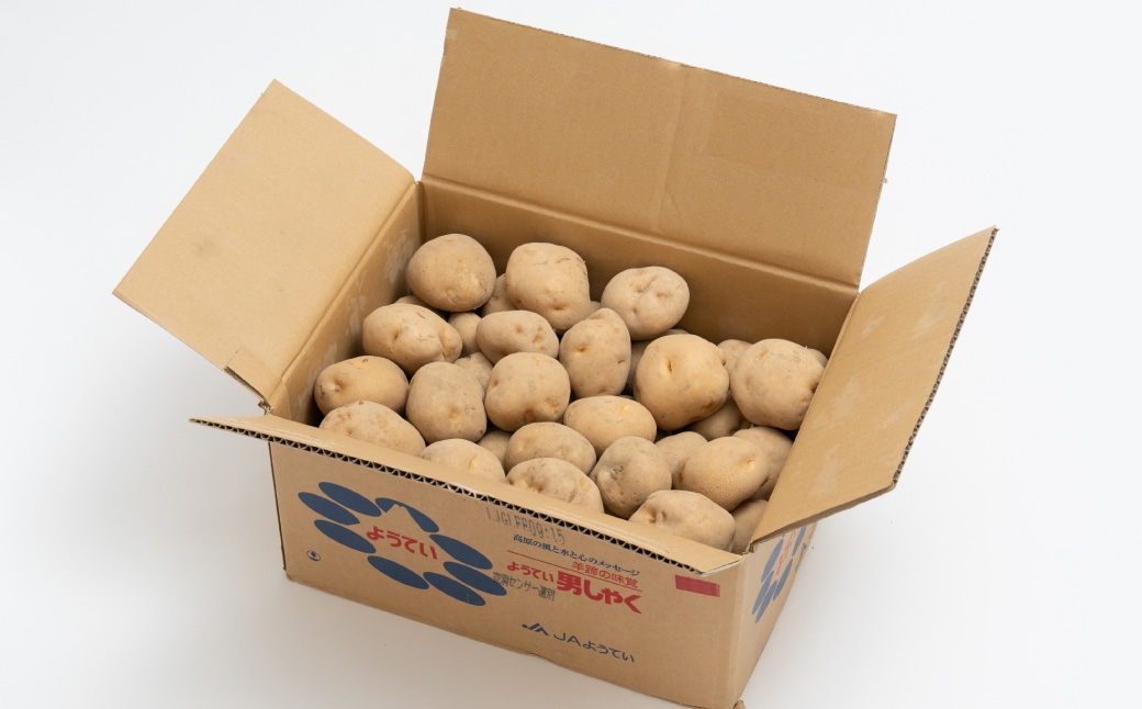 じゃがいも（男爵）Lサイズ約10kg1箱JA