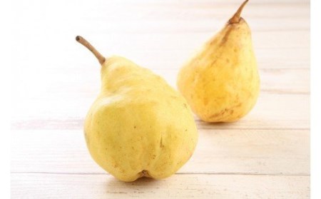 2025年産先行予約 西洋梨 ル・レクチェ 5~7玉 新潟県 西洋梨 5-7玉 ル・レクチェ ルレクチェ 西洋梨 西洋なし 髙橋農園 数量限定 C07_01 