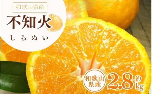 デコ不知火（デコポン） 約2.8kg/サイズおまかせ　※2026年2月上旬～2026年4月上旬頃に順次発送予定(お届け日指定不可) / 不知火 しらぬいデ コポン みかん 柑橘フ ルーツ 果物 和歌山県産 古座川町【kztb421C】