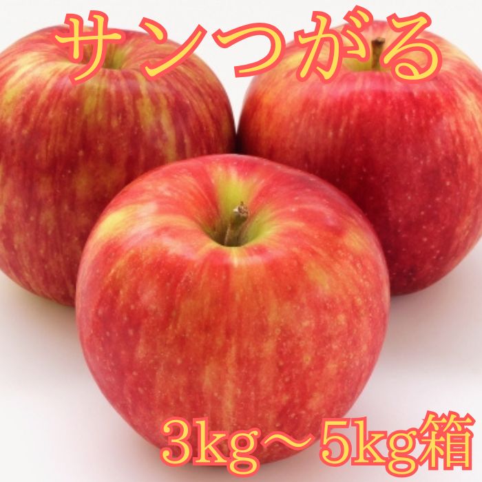 【ふるさと納税】りんご サンつがる 3kg箱～＜8月下旬より発送＞ 長野県 信州 南信州 高森町 りんご 夏りんご 旬のりんご 旬の果物 大野農園【配送不可地域：北海道、沖縄および離島】