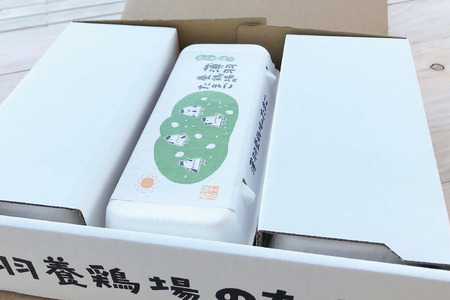 ＼2026年1月より順次配送／【定期便】黒麹育ちの赤たまご30個（年6回） 益子町 ふるさと納税 たまご 卵 タマゴ 赤たまご 人気 濃厚 食べチョク 定期便 (BC006-1)