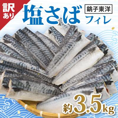 ふるさと納税 銚子市 【訳あり】塩鯖(冷凍) 約3.5kg　銚子東洋のフィレ規格外　