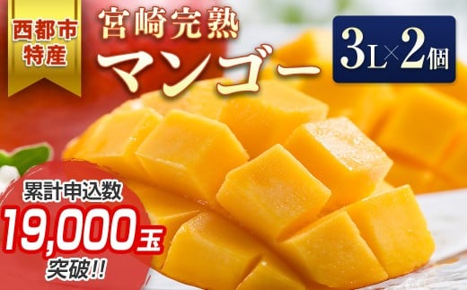 宮崎県産完熟マンゴー3L×2個 西都市特産品宮崎マンゴー＜1.5-132＞宮崎マンゴー 果物 フルーツ 甘い【先行予約】2026年発送
