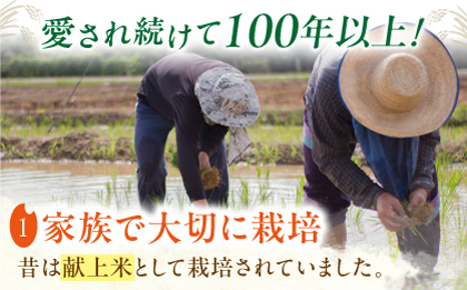 ヒノヒカリ 白米5kg 【角田農園】 [ZEV001]お米 コメ 白米 ごはん ヒノヒカリ 熊本 5kg
