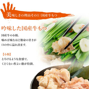 【ふるさと納税】博多 もつ鍋 セット 九州 しょうゆ味 2-3人前 [a9204] 株式会社フェリックス ※配送不可：離島【返礼品】添田町 ふるさと納税