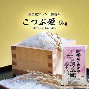 1396R07M04c　無洗米 こつぶ姫 5kg×1袋　4月下旬