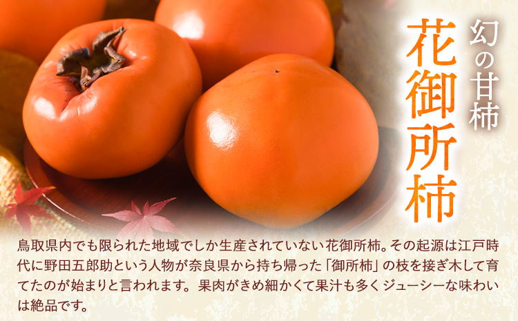 柿 八頭町が誇る 日本随一の 甘柿 花御所柿 2kg Tottori食のまごころ農園 《11月下旬-12月下旬頃出荷》鳥取県 八頭町 柿 かき カキ 花御所柿 甘柿 果物 フルーツst-p