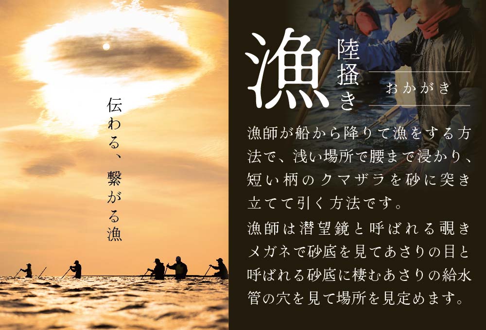 御礼！ランキング第１位獲得！北海道 野付産 大粒 天然 活あさり 4kg【UY0000005】 （ あさり貝 アサリ貝 浅蜊貝 ）