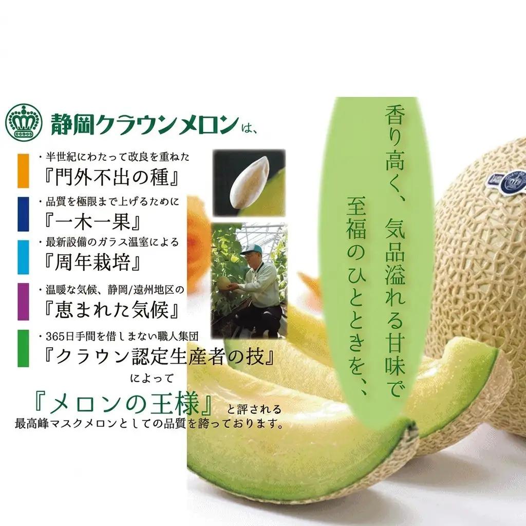 メロン 3ヶ月 定期便 クラウン 白等級 特大玉 1玉 メロン
