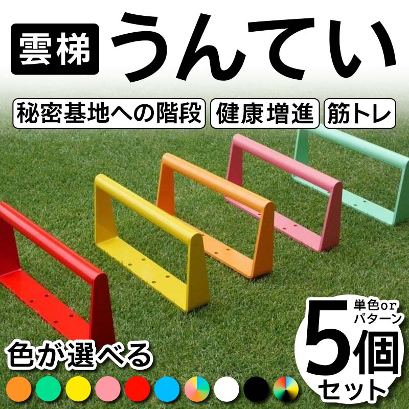 【ふるさと納税】雲梯（うんてい）5個セット 色が選べる 雲梯 ウンテイ 健康 健康増進 ダイエット 筋トレ 屋根裏や秘密基地への階段 F21E-257