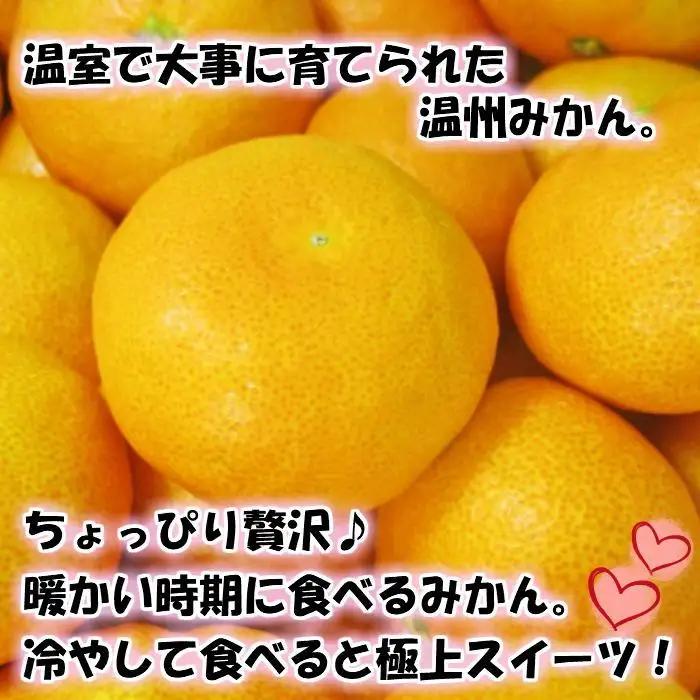 特撰品！和歌山有田の「ハウスみかん」【赤秀】約2.5kg 化粧箱入り（2026年5月以降発送）