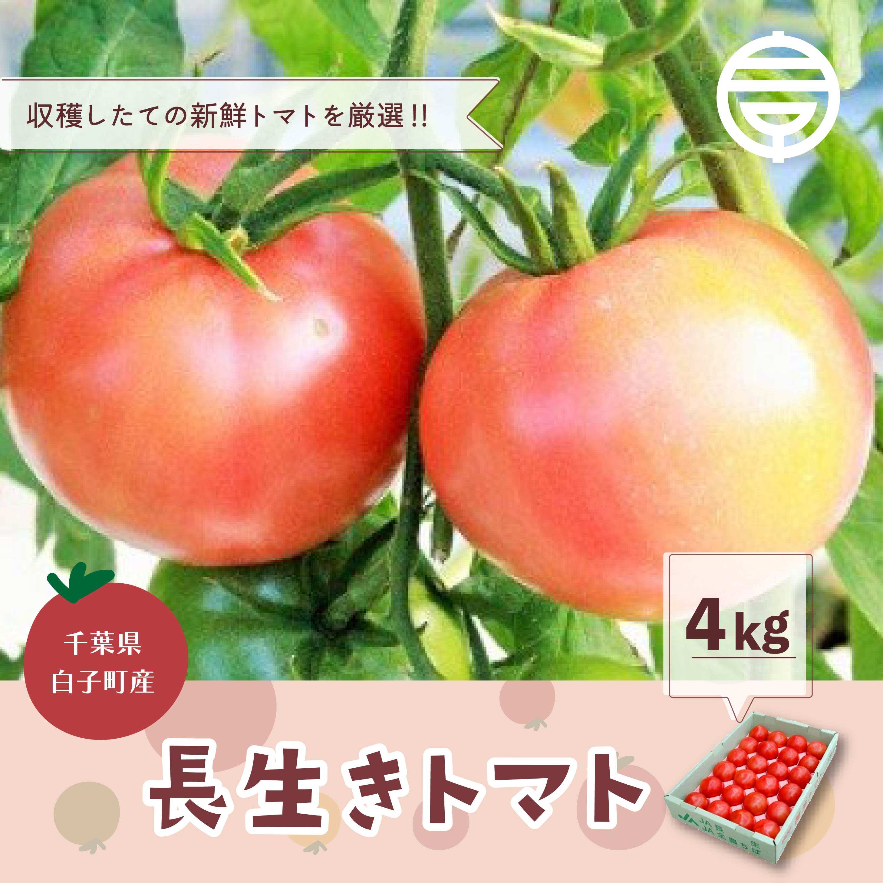 【ふるさと納税】千葉県長生トマト4kg ふるさと納税 トマト リコピン サラダ イタリアン 健康 美容 直売 送料無料 SHK003