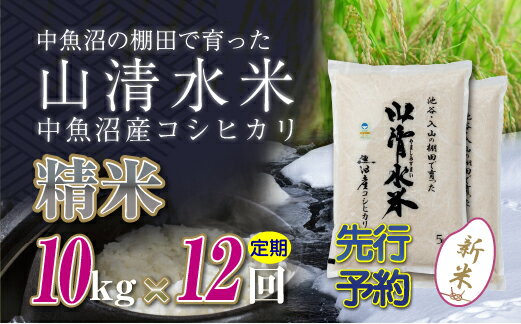 【ふるさと納税】【定期便／全12回】精米10kg　新潟県魚沼産コシヒカリ「山清水米」十日町市 米　お届け：寄附入金確認後、順次発送します。