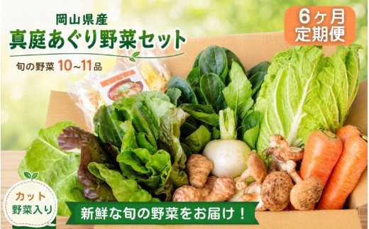 【6カ月定期便】真庭あぐり野菜セット カット野菜が1品入る 10～11品 / 産地直送 農家 お試し 岡山県 新鮮 あぐりガーデン 国産 【配送不可地域：北海道／沖縄県／離島】 【jujy-tkb052】