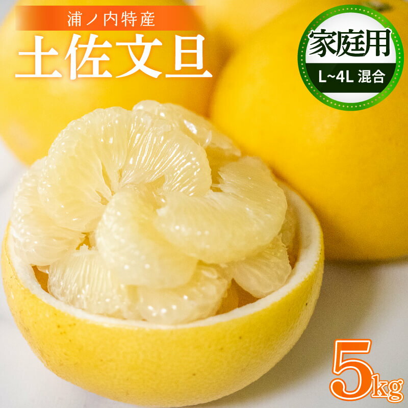 【早期予約開始!!2026年2月頃より順次発送】【ふるさと納税】 訳あり 浦ノ内特産 家庭用 土佐文旦 5kg L ～ 4L サイズ 混合 | みかん 蜜柑 柑橘 文旦 5キロ 明神果樹園 人気 ランキング 数量限定 期間限定 高知県 須崎市 ふるさと納税果物 MKJ008_xx