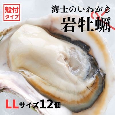 【のし付き】海士のいわがき 4.8kg?6kg 巨大LLサイズ12個 岩牡蠣 牡蠣 かき CAS冷凍