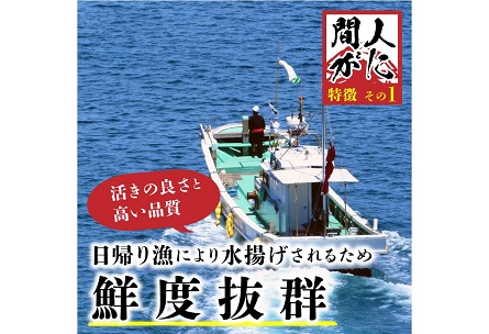 （訳あり）茹で間人がに 2匹 Aセット　1/10～1/21発送予定 平七水産　間人がに 間人ガニ 間人蟹 たいざがに たいざガニ